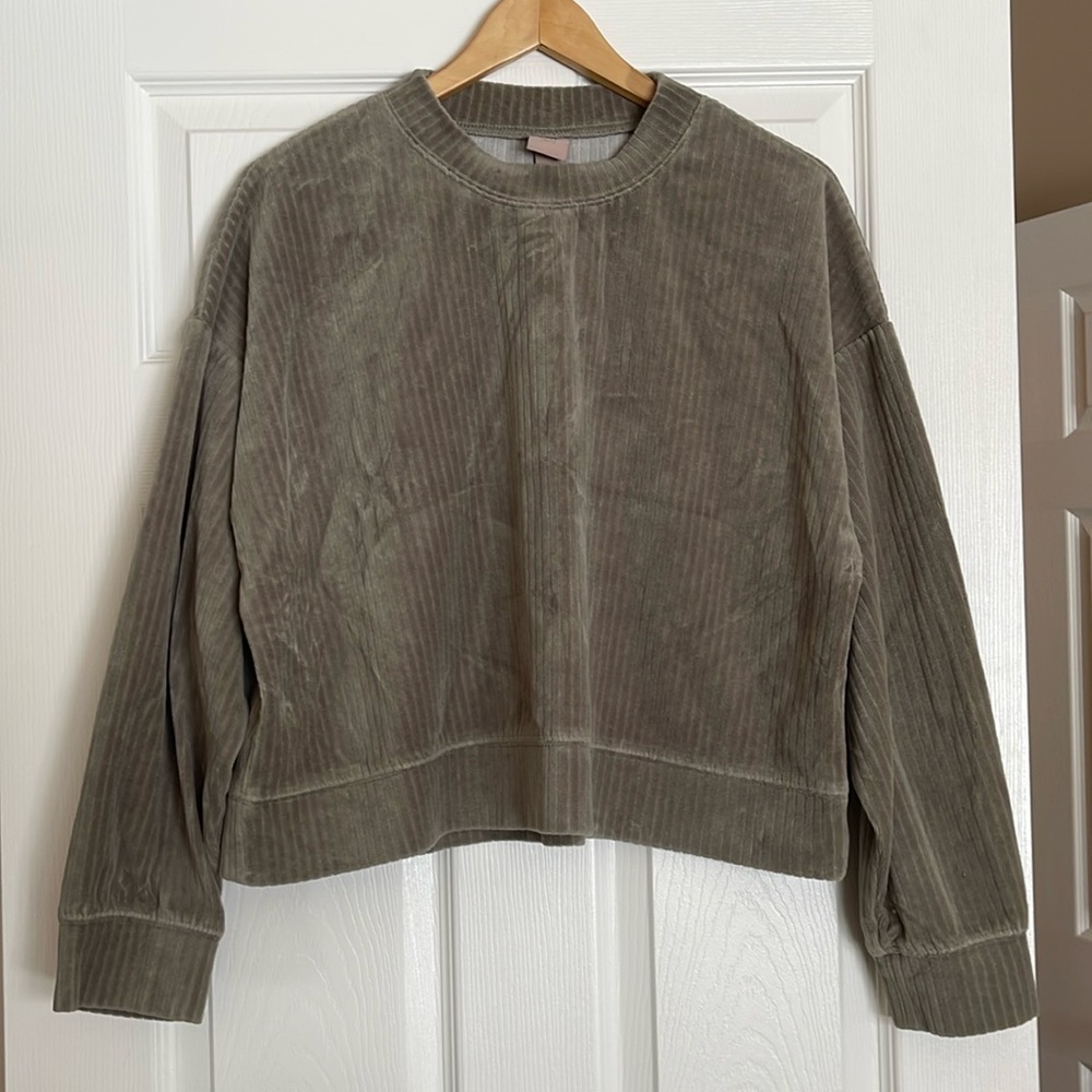H&M Velour Cropped Sweatshirt